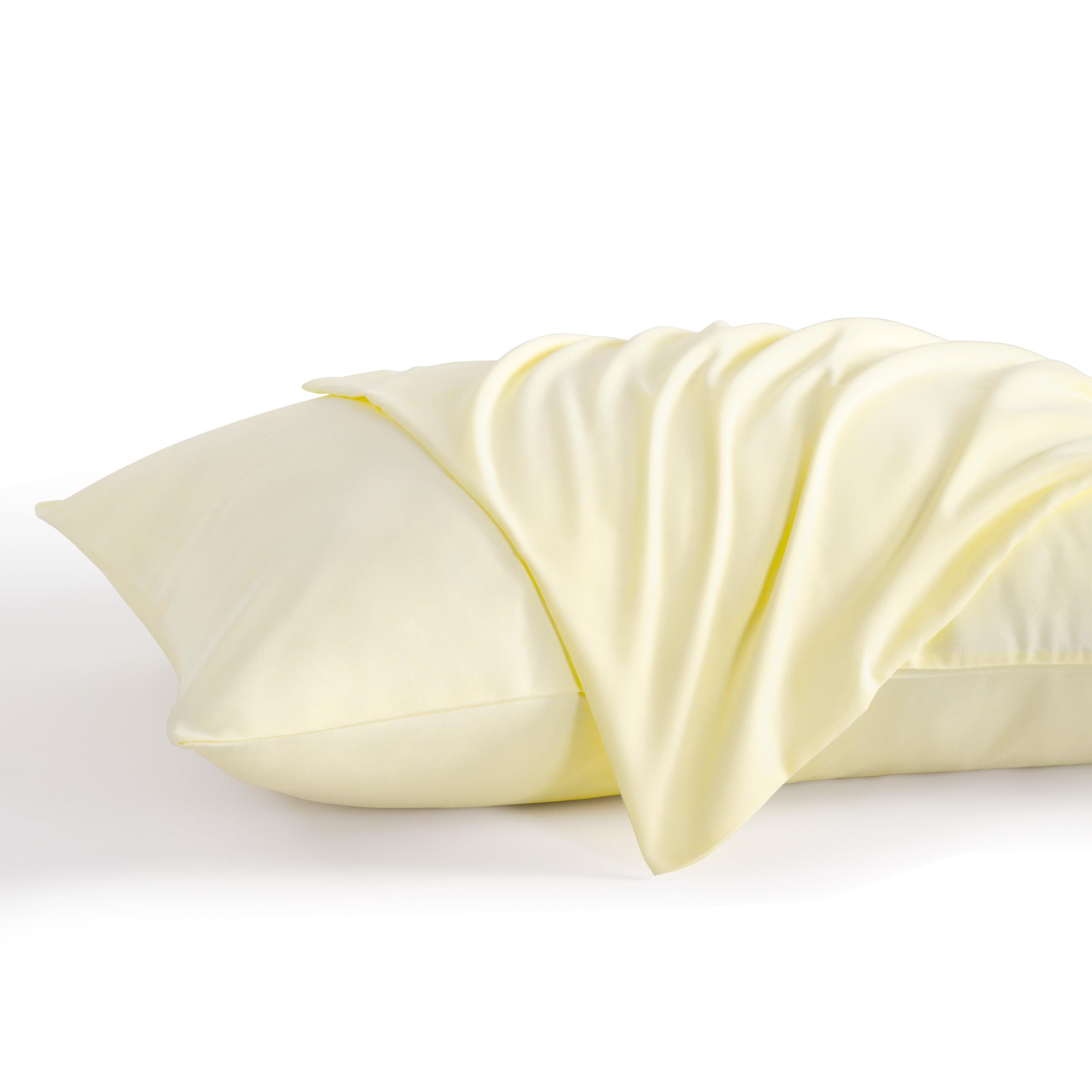 Ntbay Queen Pillow Cases Set Of 2, 2 Pack Brushed Microfiber 20X30 Pillow Cases, Soft, Wrinkle, Fade, Stain Resistant Ivory Pill